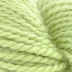 543 - Celery