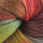 Muddy Autumn Rainbow