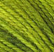 Common Emerald Moth