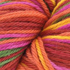 Zinnia-51305