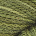 Seaweed-7498