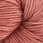 Pink Mist Smoke Tree (Lot B)