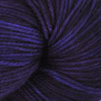 Eurota Purple Wing