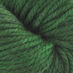 English Ivy