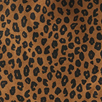 Leopard Nutmeg