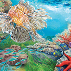 Reef Life