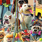 The Dog Walker