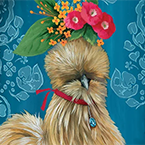 Silkies