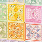 Star Quilt Seasons Blocks
