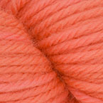 *NEW* Pink Grapefruit